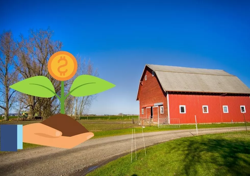 Iowa Farmland Is Still On The Rise