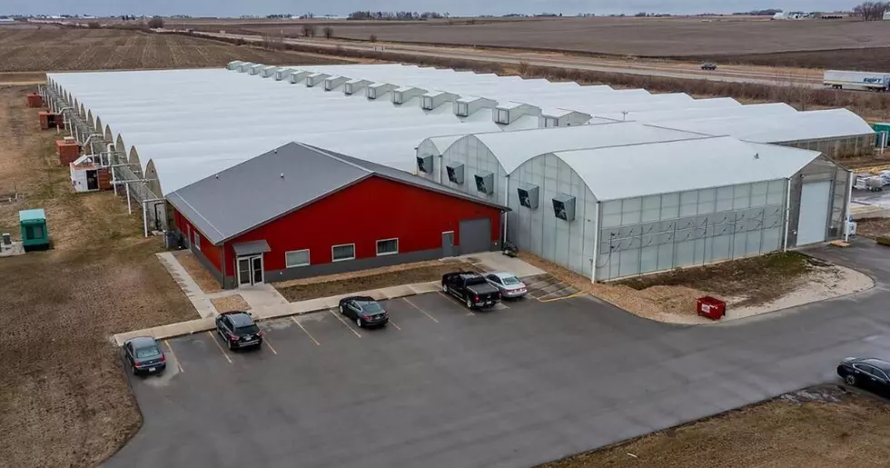 Greenhouse Turned Fishery For Sale In Iowa [PHOTOS]