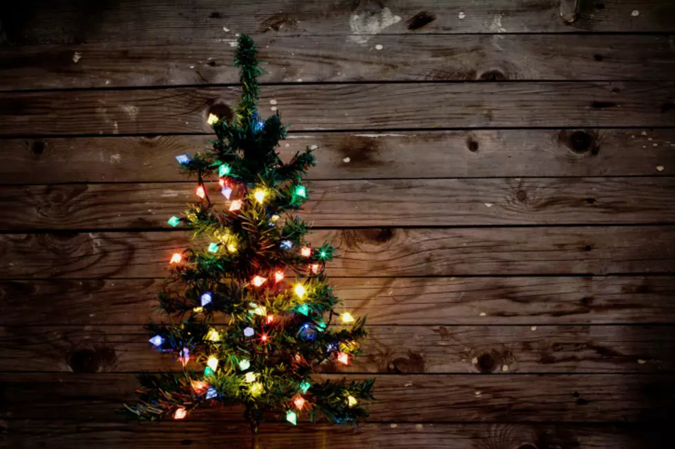 The Cedar Rapids Festival of Trees Returns to Doubletree