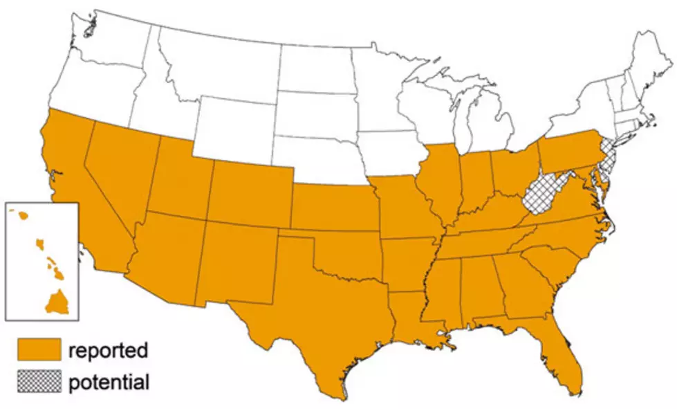 Kissing Bug Map