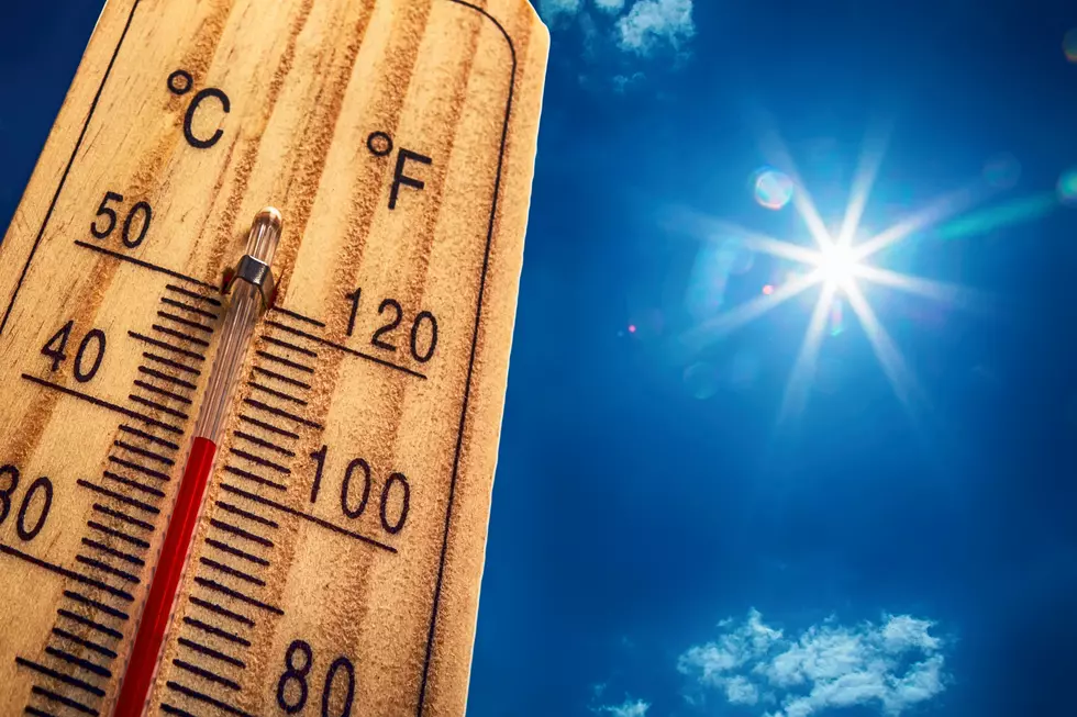 Local CR Animal Shelter in Need After AC Unit Dies