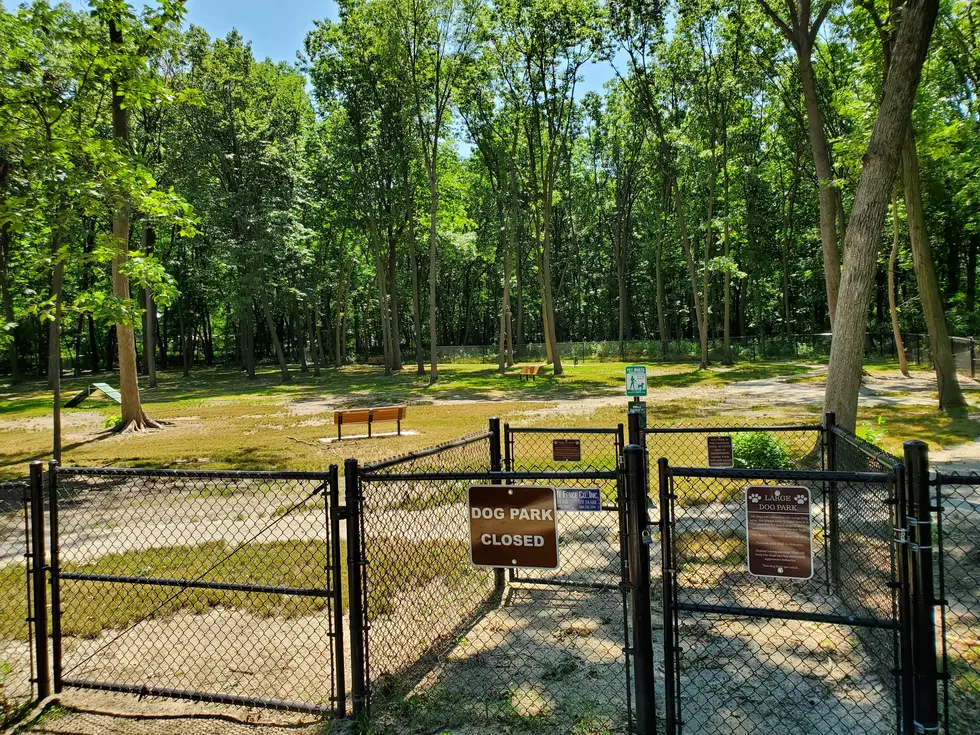 Hiawatha Dog Park Opens This Week