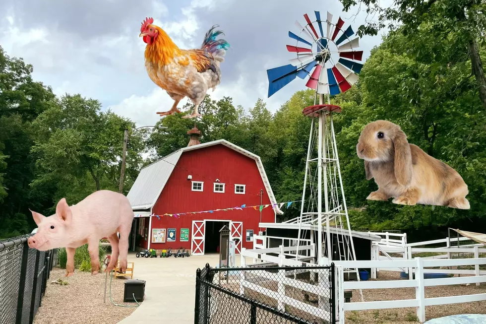 Free Cedar Rapids Petting Farm Sets 2024 Opening Date