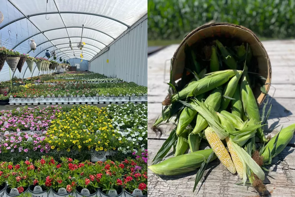 The Best Farm Shop in Iowa is Right Here in the Corridor
