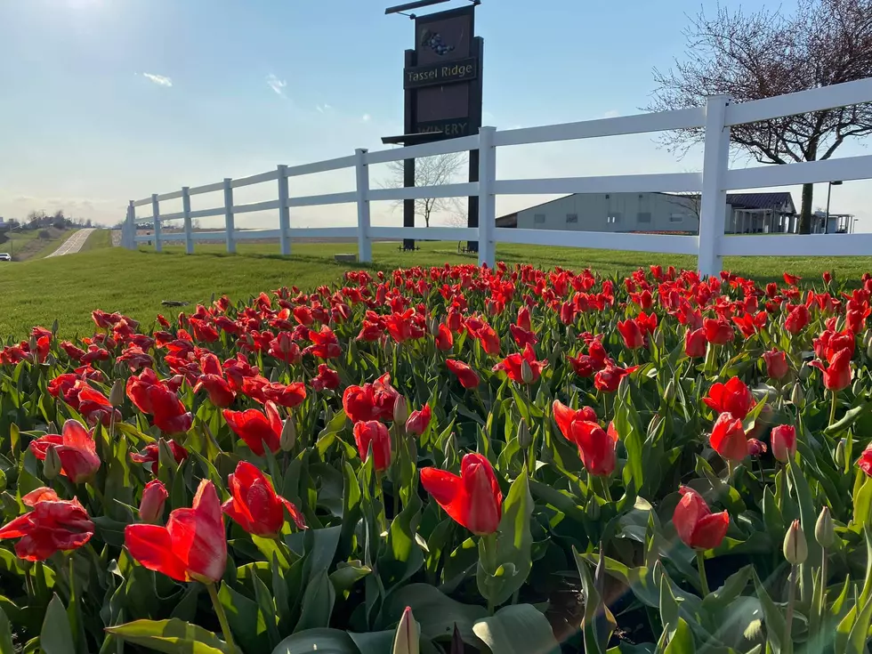 Tassel Ridge Winery, Facebook