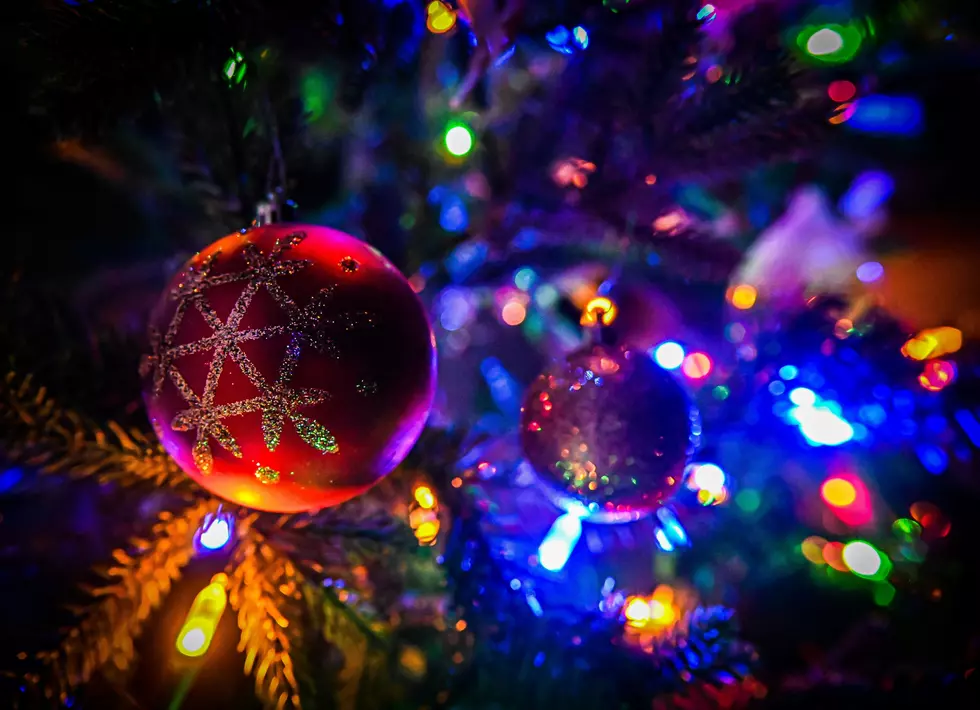 Holiday Spirit Comes Alive at The Festival of Trees in Cedar Rapids!
